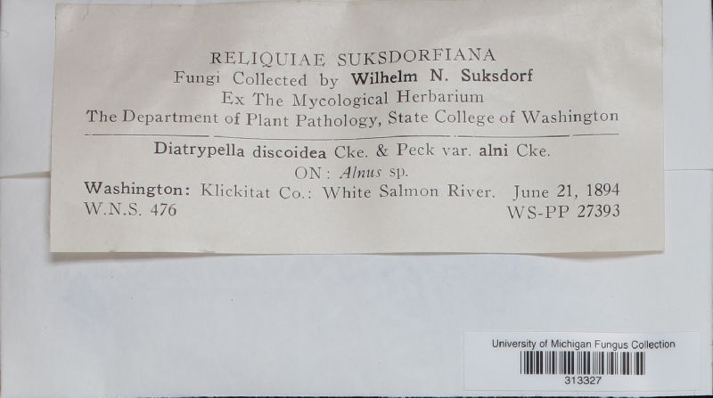 Diatrypella discoidea var. alni image