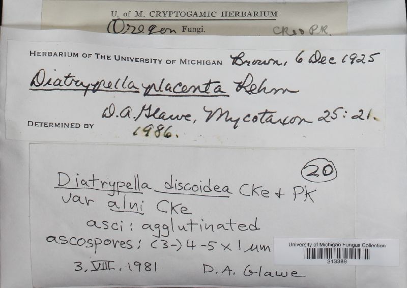 Diatrypella placenta image