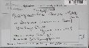 Hyponectria buxi image