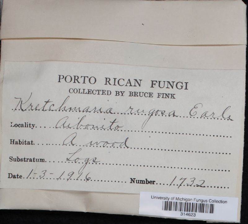 Kretzschmaria rugosa image
