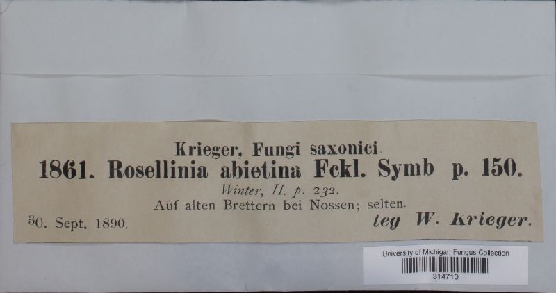 Rosellinia abietina image
