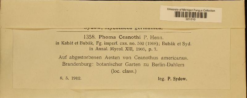 Phoma ceanothi image