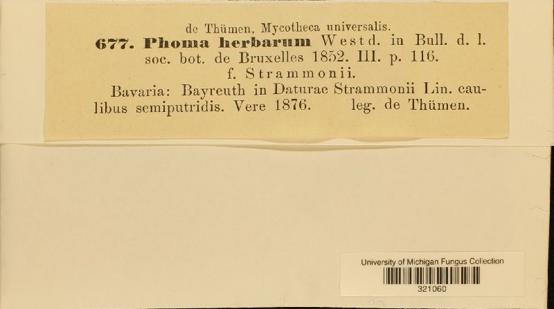 Phoma herbarum f. stramonii image
