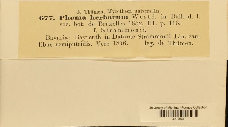 Phoma herbarum f. stramonii image