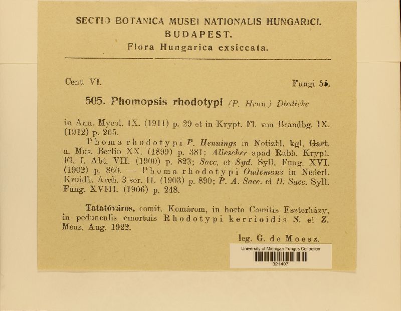 Phomopsis rhodotypi image