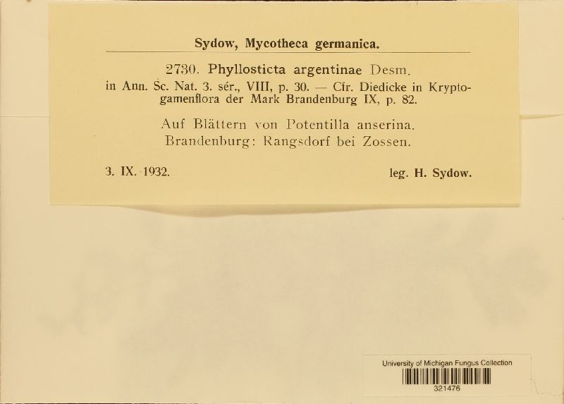 Phyllosticta argentinae image