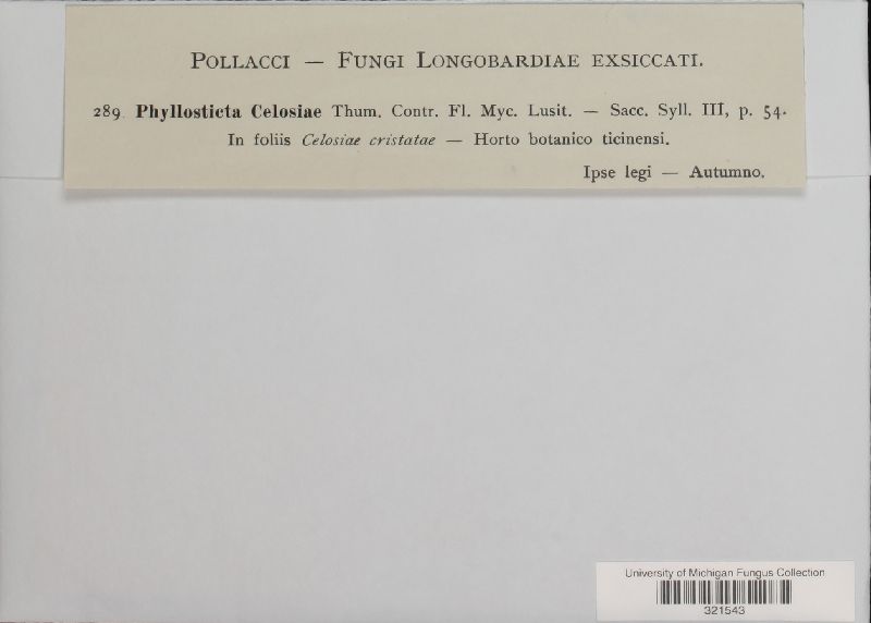 Phyllosticta celosiae image
