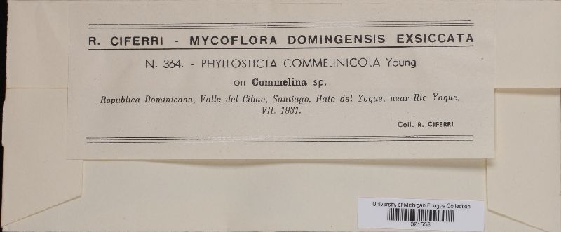 Phyllosticta commelinicola image