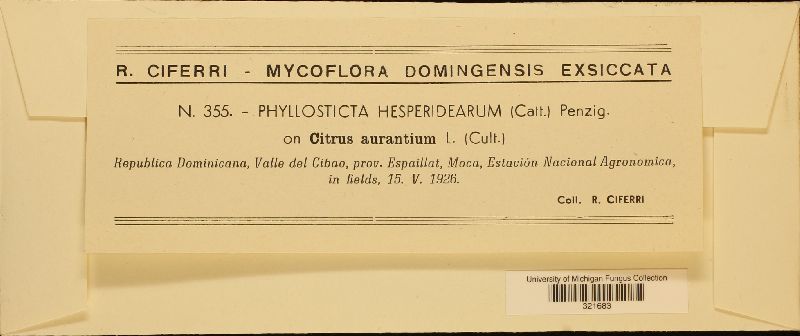 Phyllosticta hesperidearum image