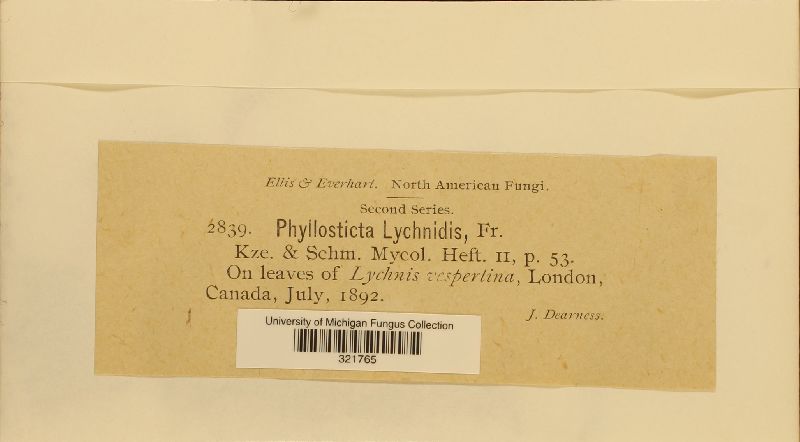 Phyllosticta lychnidis image