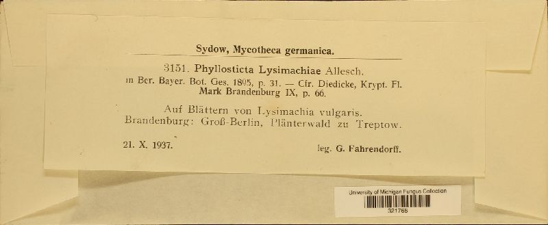 Phyllosticta lysimachiae image