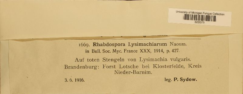 Rhabdospora lysimachiarum image