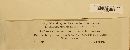 Rhabdospora lysimachiarum image