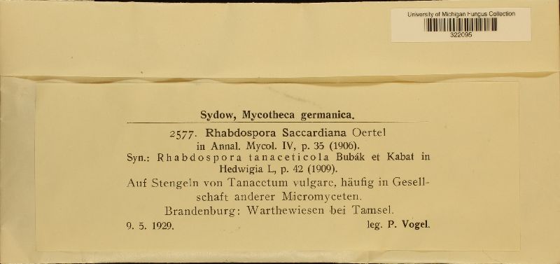 Rhabdospora saccardiana image