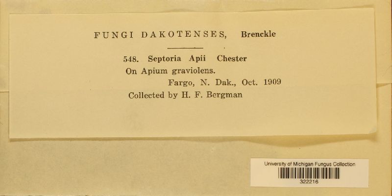 Septoria apii image