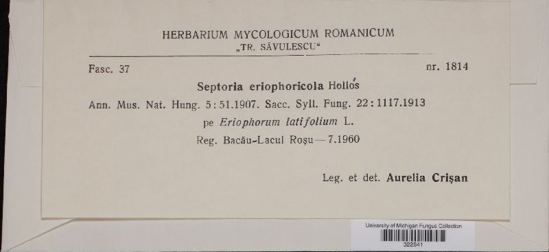 Septoria eriophoricola image