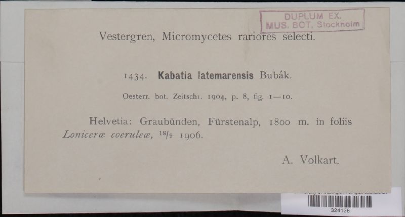 Kabatia latemarensis image