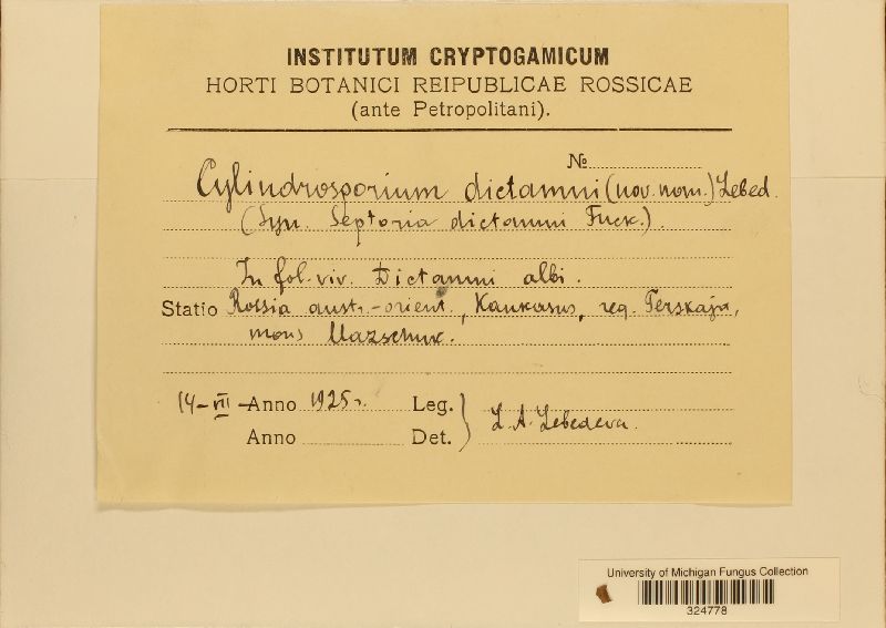 Cylindrosporium dictamni image
