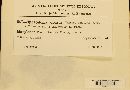 Sphaceloma viburni image