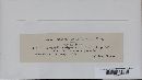Botryotinia fuckeliana image