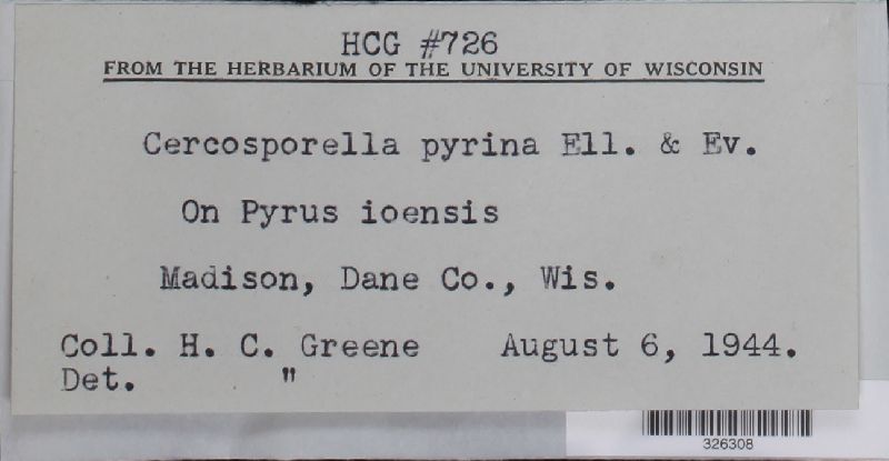 Cercosporella pyrina image