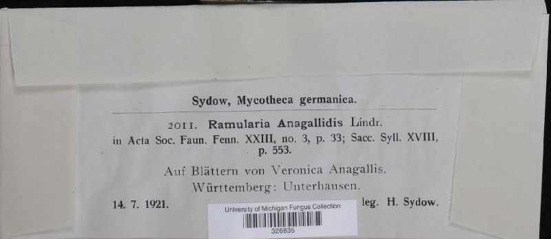 Ramularia anagallidis image