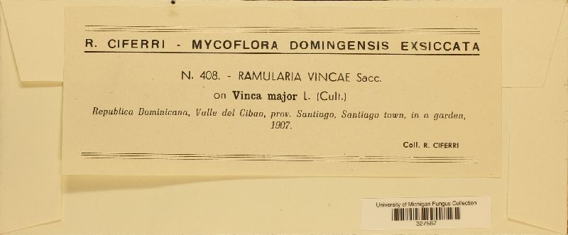 Ramularia vincae image