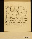 Septocylindrium aromaticum image
