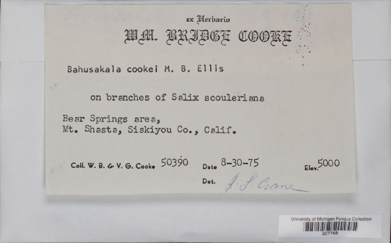 Sporophiala cookei image