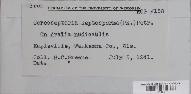 Pseudocercosporella leptosperma image
