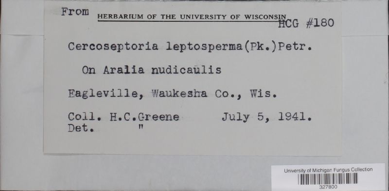 Pseudocercosporella image