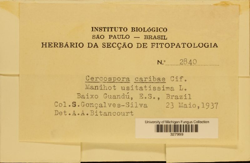 Passalora manihotis image