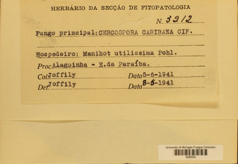 Passalora manihotis image