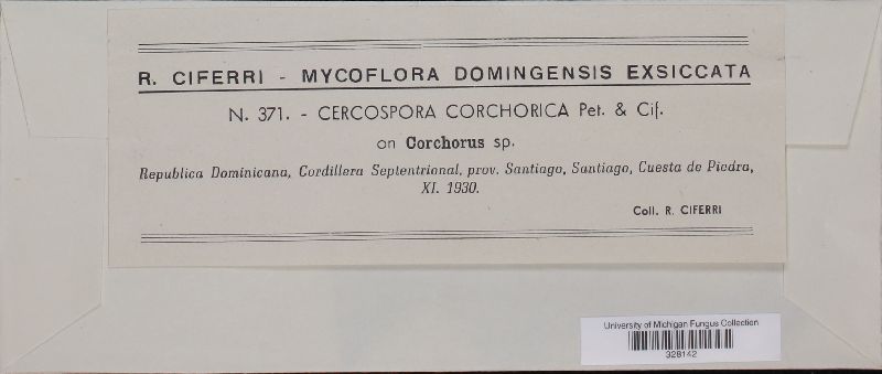 Cercospora corchorica image