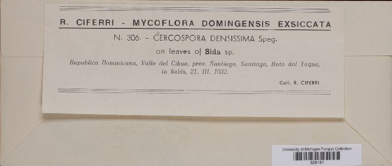 Cercospora densissima image