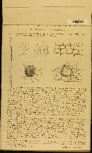 Cladosporium cycadis image