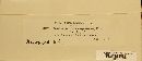 Macrosporium inquinans image