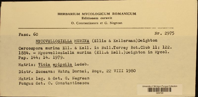 Passalora murina image