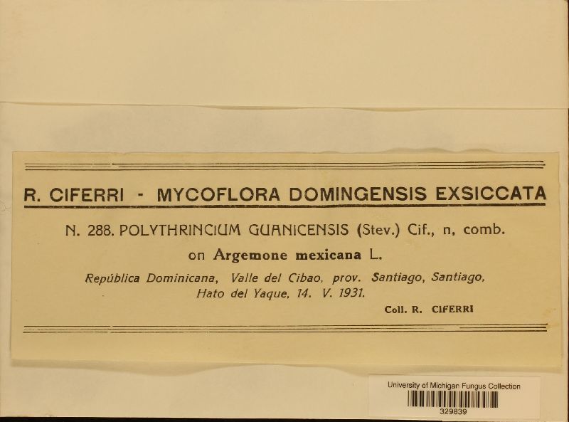 Passalora guanicensis image