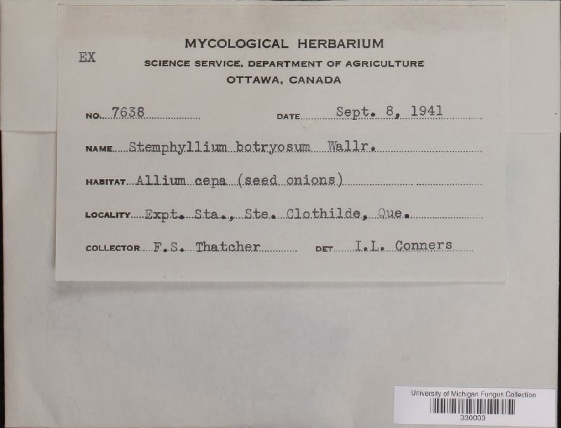 Stemphylium botryosum image