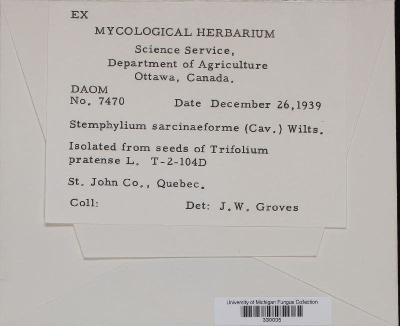 Stemphylium sarcinaeforme image