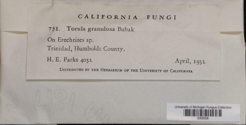 Torula granulosa image