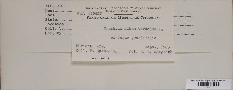 Graphium album image