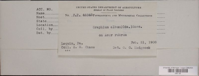 Graphium album image
