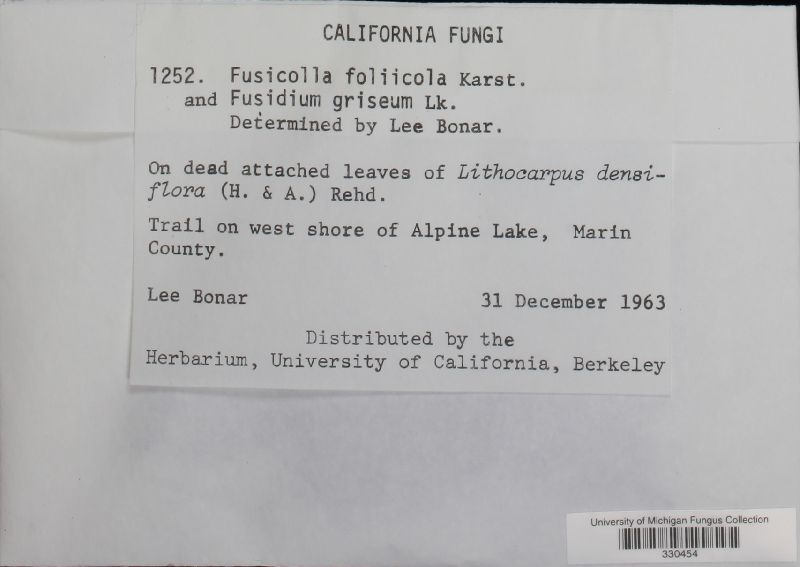 Fusarium foliicola image