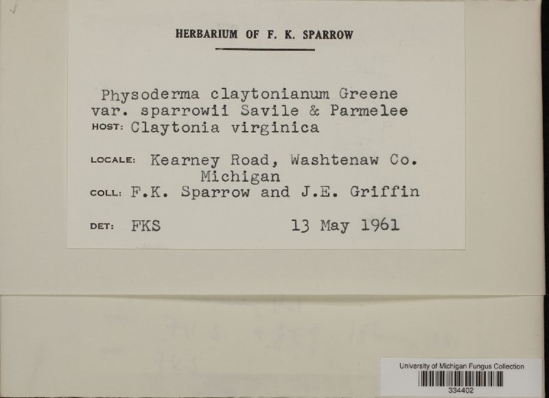 Physoderma claytonianum image