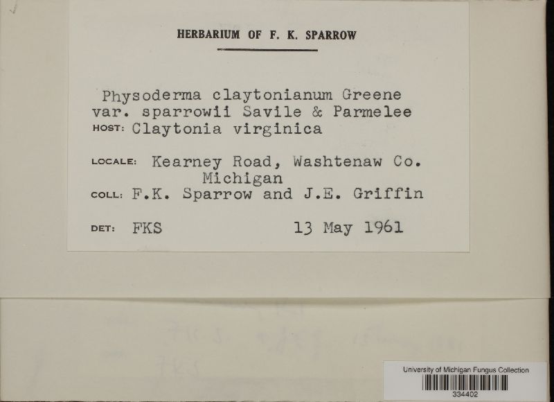 Physoderma claytonianum var. sparrowii image
