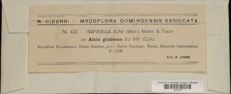 Frankiella alni image