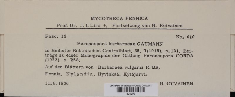 Peronospora barbareae image