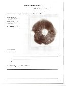 Agaricus silvicola image